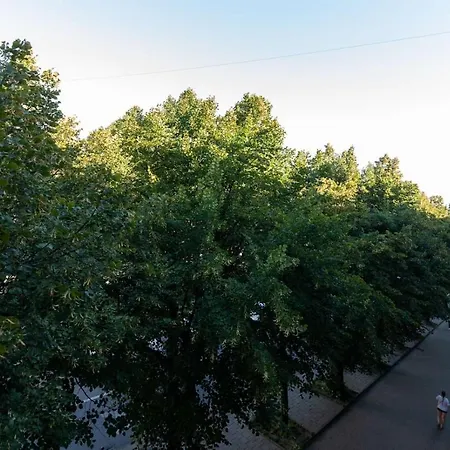 Romari чорновола 23